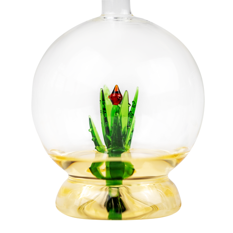 Tequila Aloe Decanter With Agave Plant & 4 Shot Glasses Set