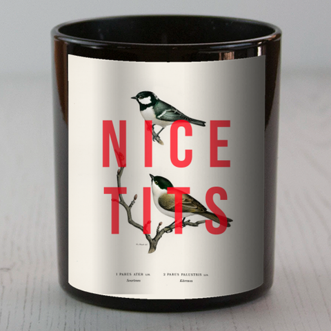 SCENTED CANDLES, NICE TITS BY THE 13 PRINTS