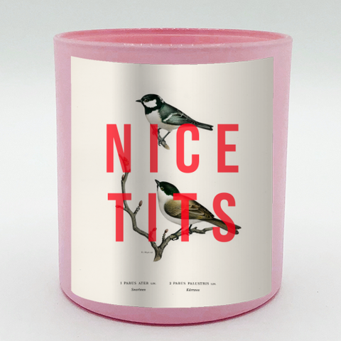 SCENTED CANDLES, NICE TITS BY THE 13 PRINTS