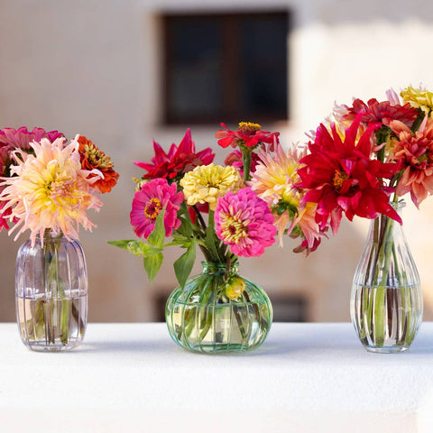 Clear Glass Bud Vase | 5.5"| Spring | Summer | Mothers Day |