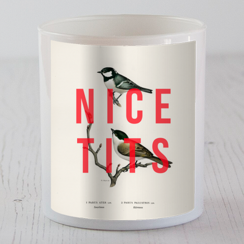 SCENTED CANDLES, NICE TITS BY THE 13 PRINTS