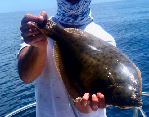 Long Island Local:  Summer Fluke