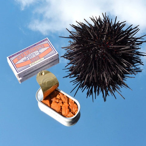Fish Roe Package Sea Urchin Roe – Babylon Mercantile