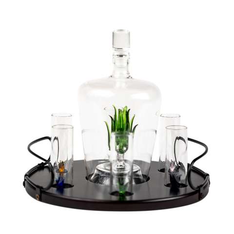 Tequila Agave Decanter With 6 Shot Glasses And Stand