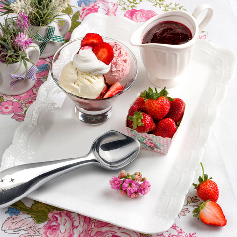 Stainless Steel Ice Cream Scoop