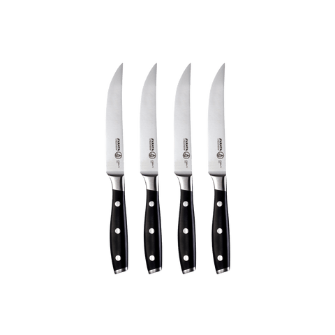 Avanta 4pc Stainless Steak Knife Set