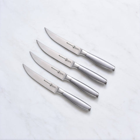 Avanta 4pc Stainless Steak Knife Set