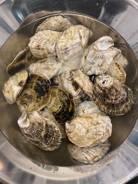 Long Island Local: Oysters - Shucking, Broiling and Roasting