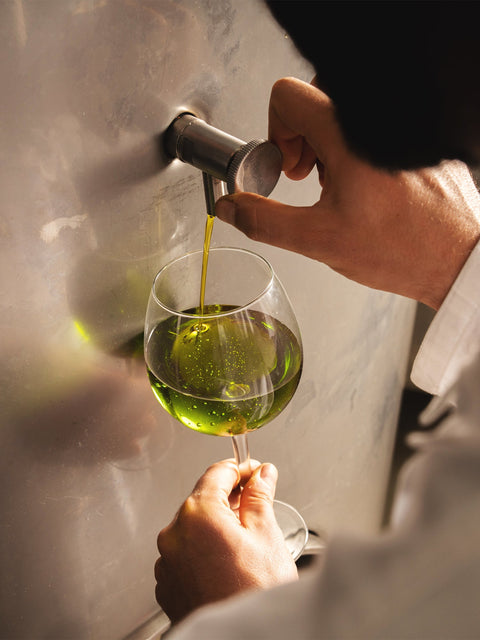 Sabino Leone Io Voglio Italiano 16.9 oz