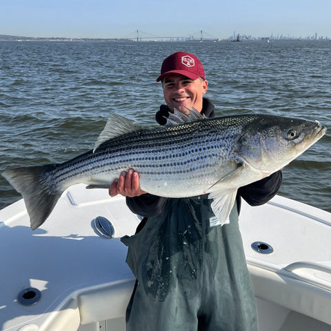 Long Island Local:  Striped Bass